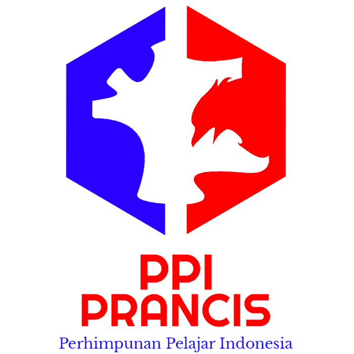 PPI Prancis