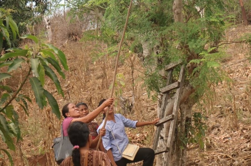 Festival Pendidikan Kisar